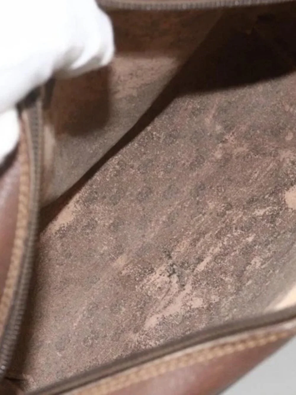 Gucci brand	gucci color	beige