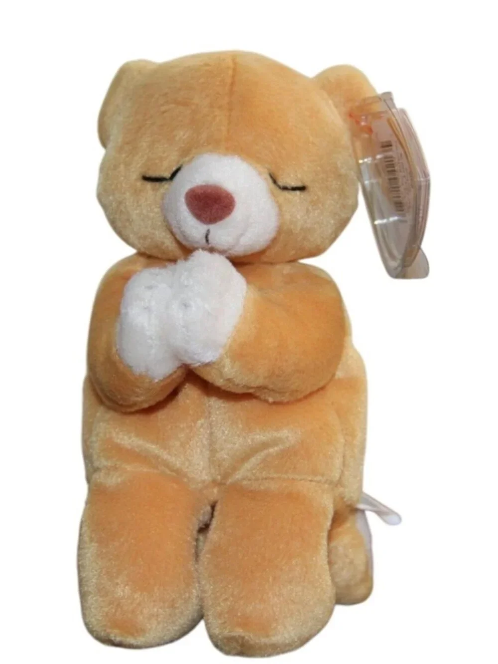 Beanie Babies hope praying