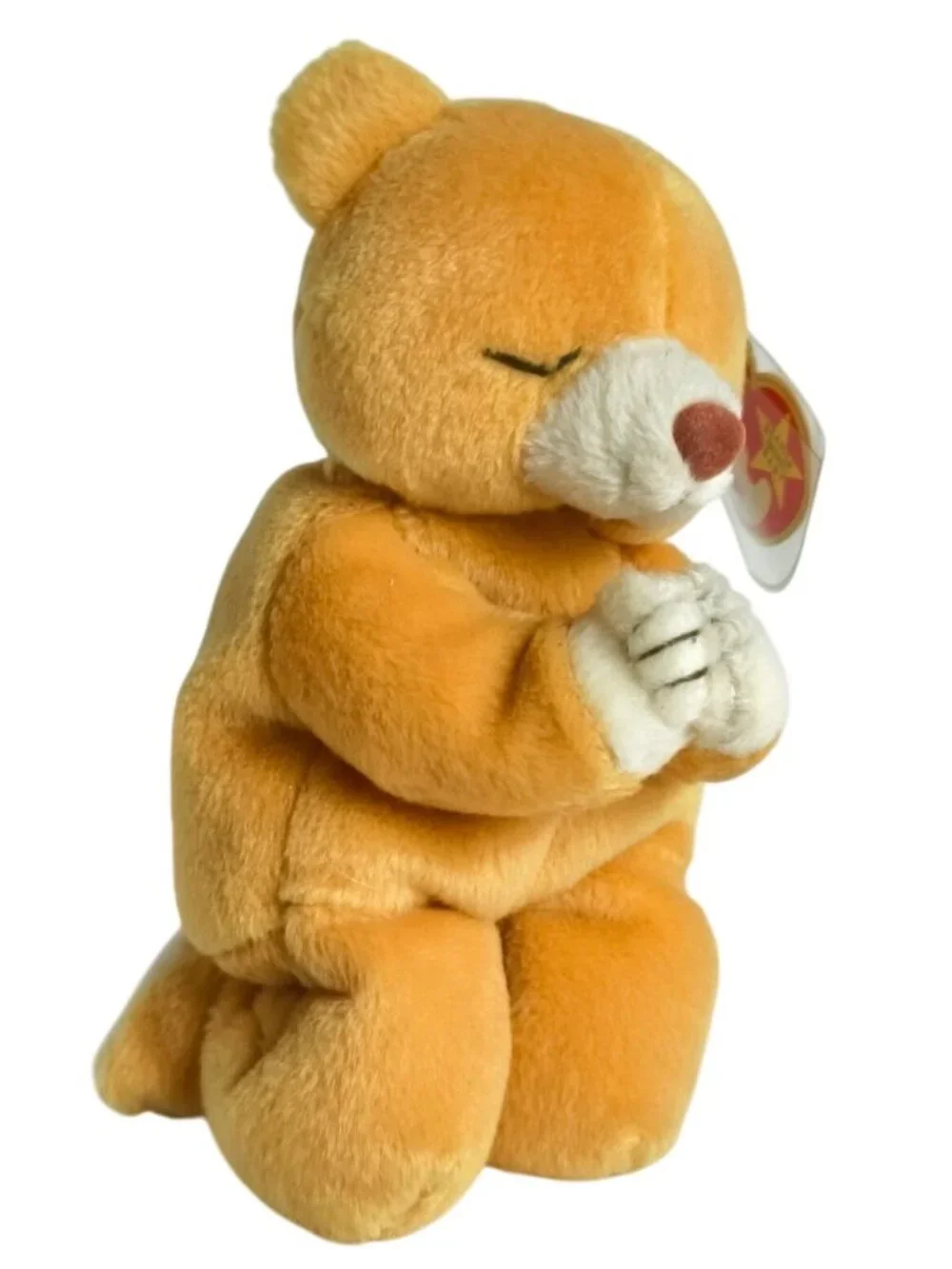 Beanie Babies hope praying