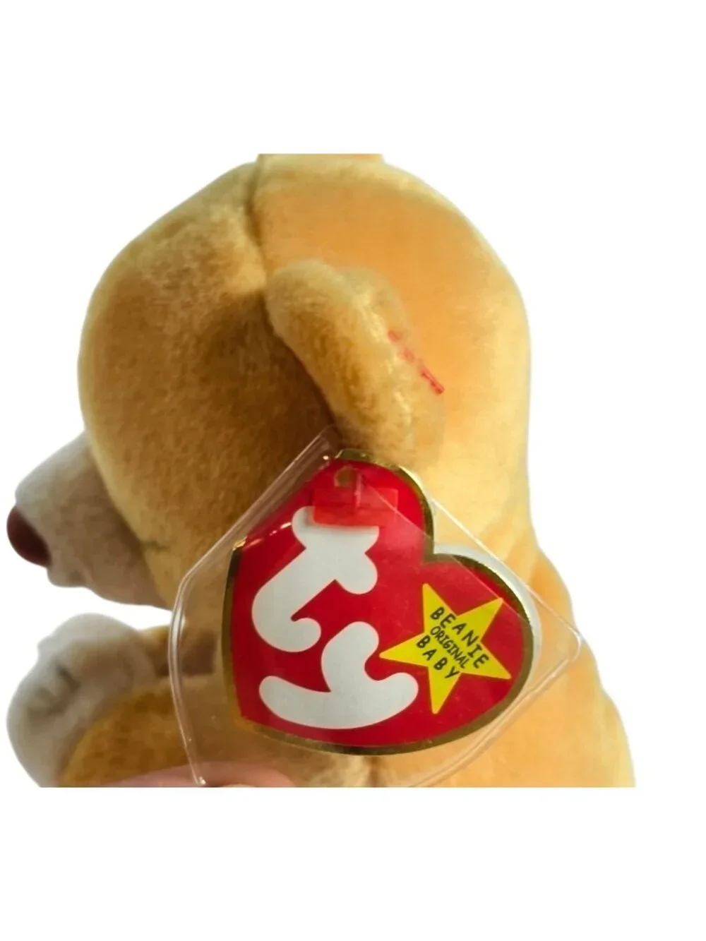 Beanie Babies hope praying