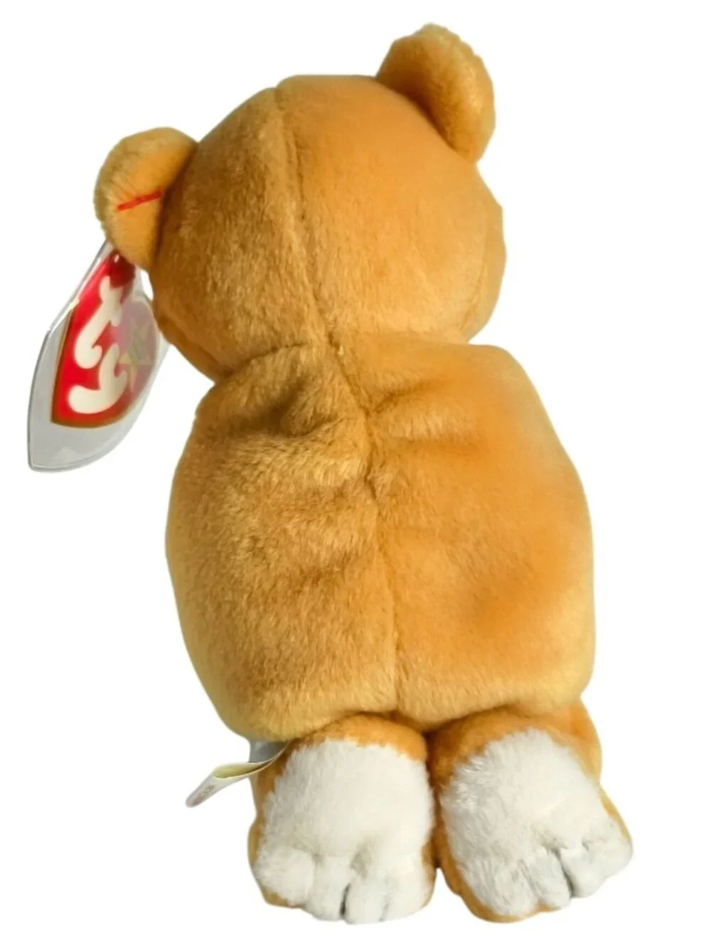 Beanie Babies hope praying