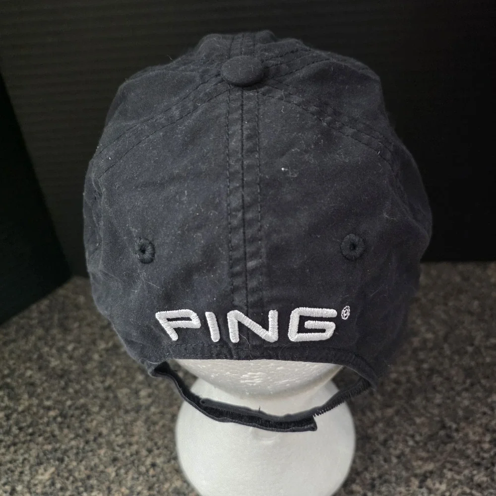 Ping description official