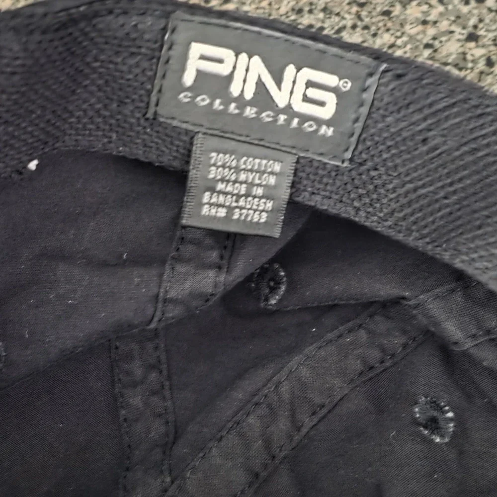 Ping description official