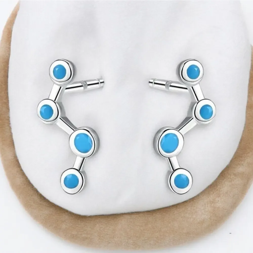 None these earrings