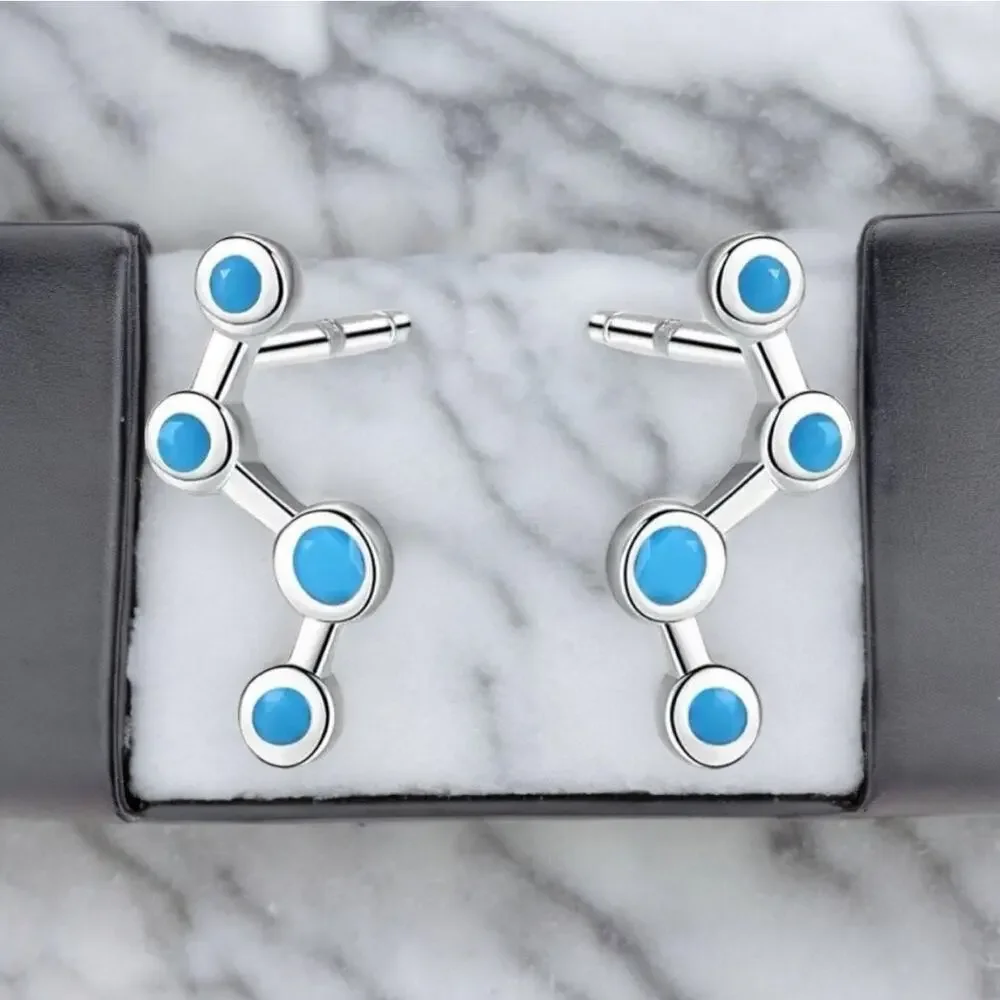None these earrings