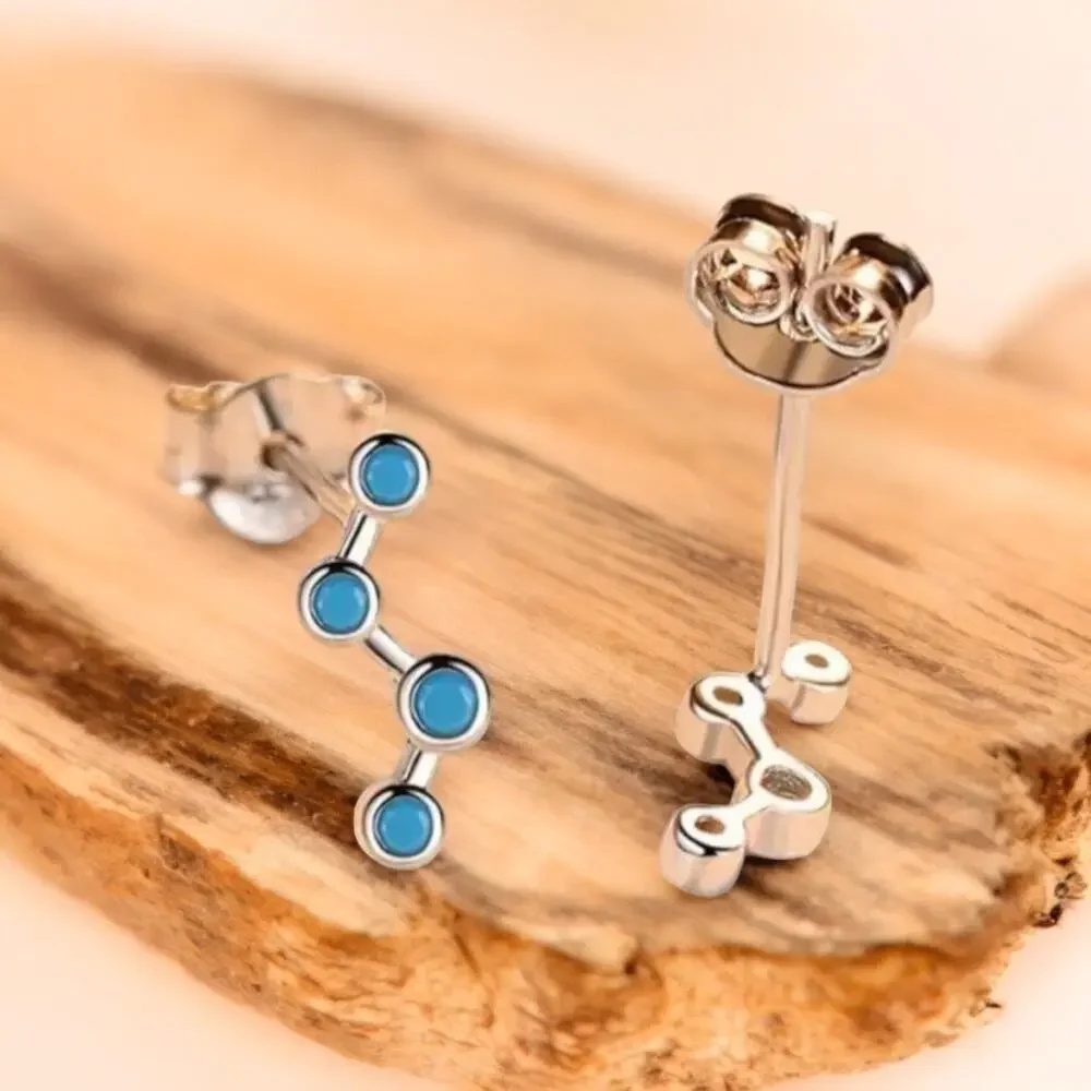 None these earrings