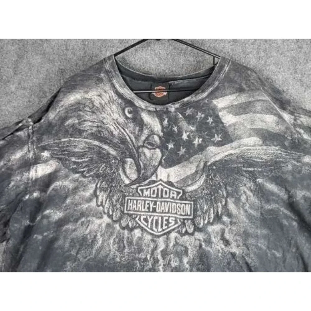 Harley-Davidson embrace classic