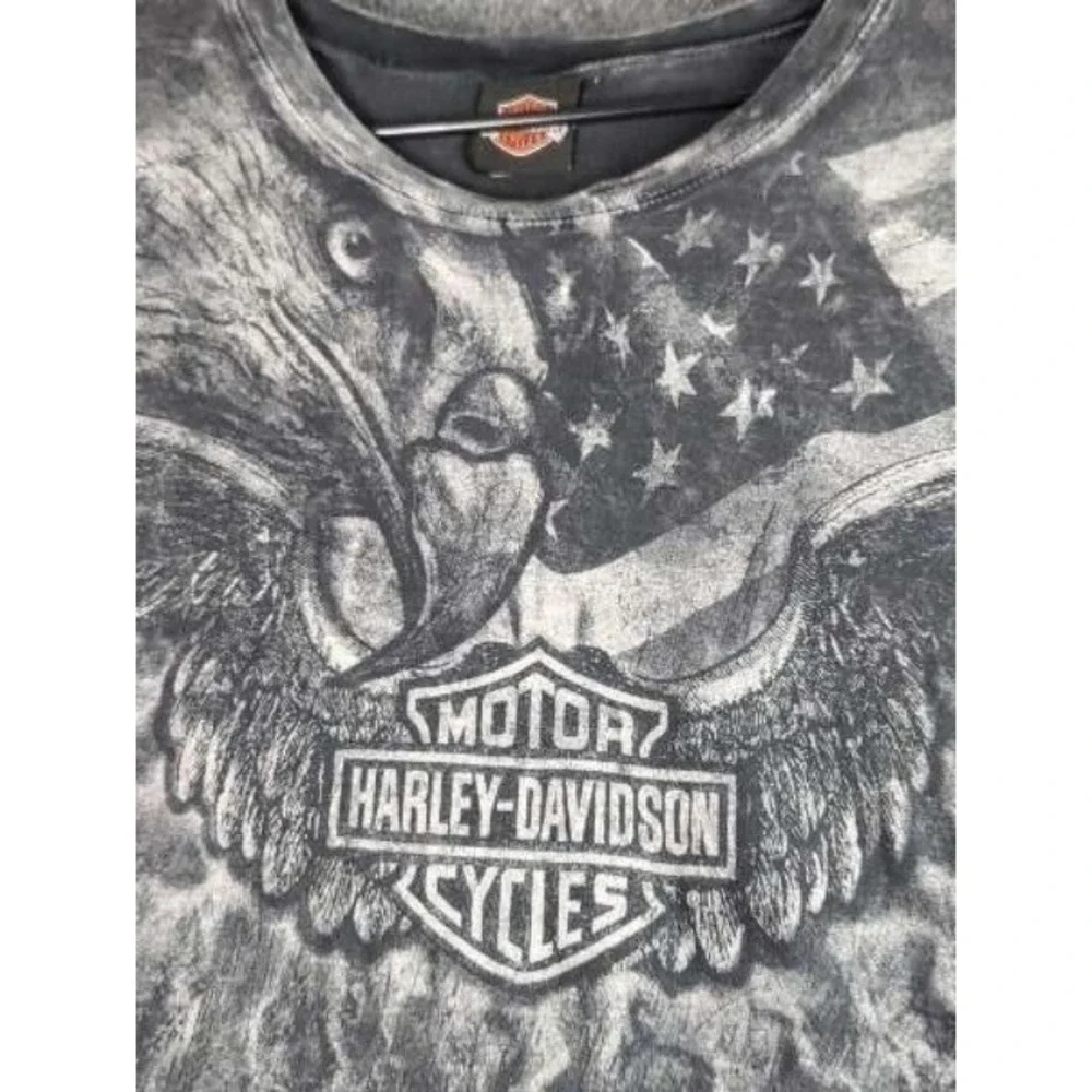 Harley-Davidson embrace classic