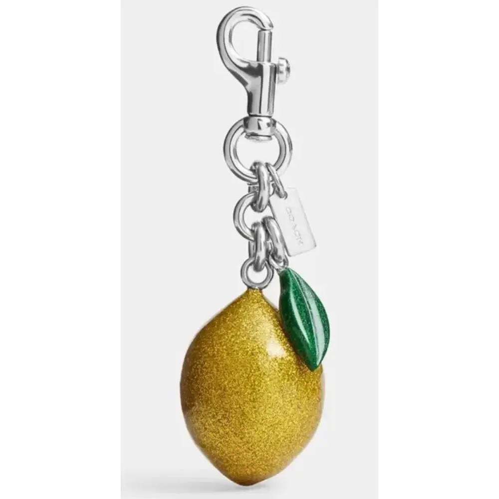 Coach bag charm