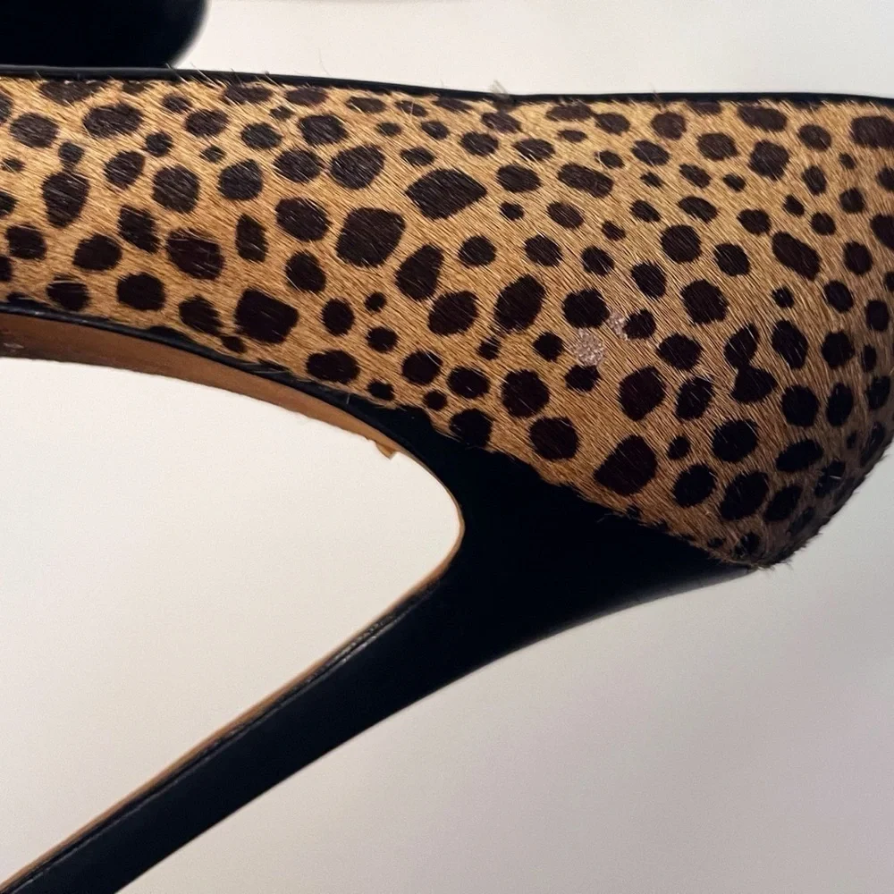 Ann Taylor genuine cheetah