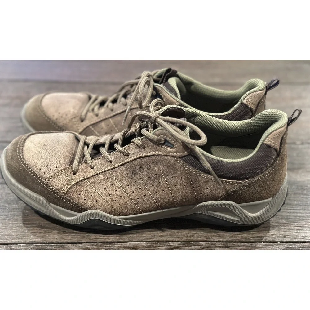 Ecco sierra ii