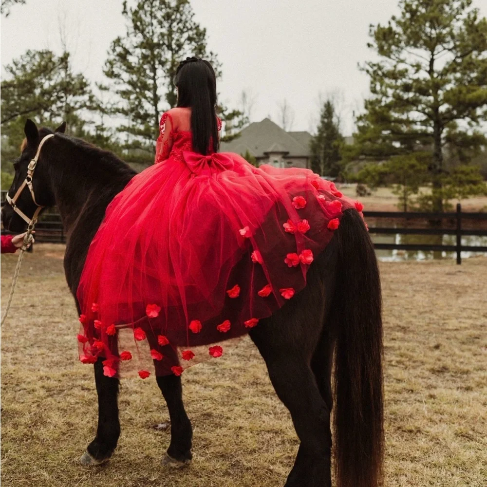 Red Floral Tulle Ball Gown Dress