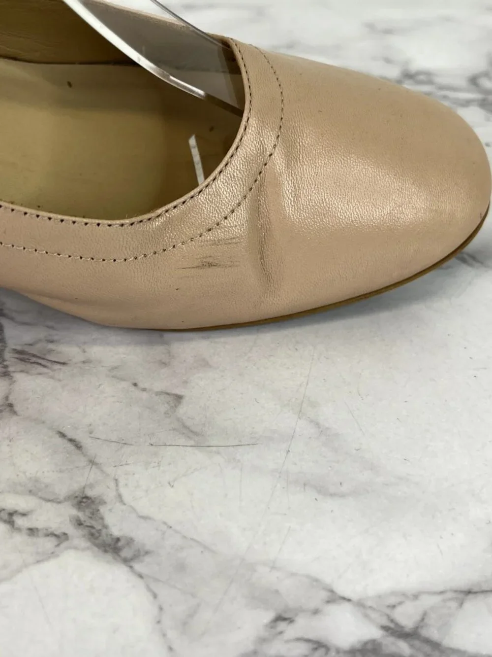 Everlane women pale