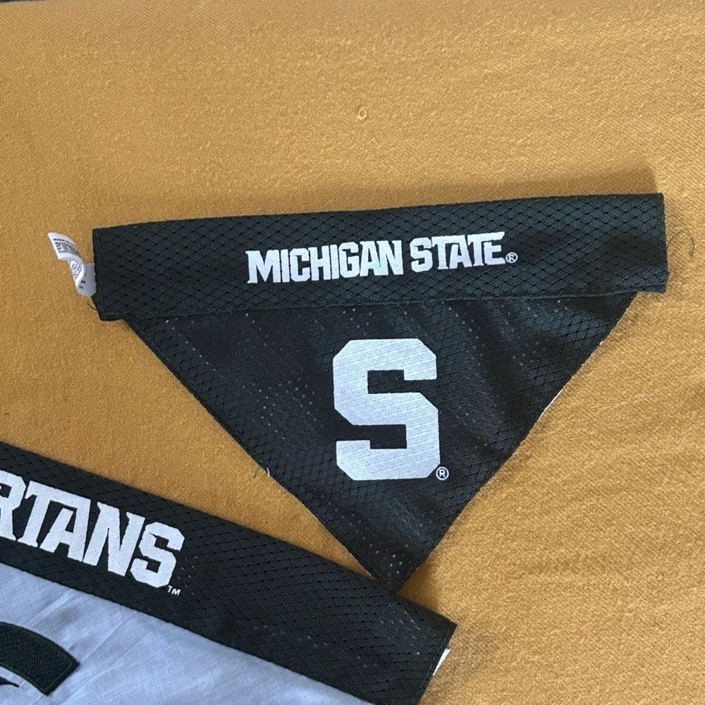 N/A set michigan