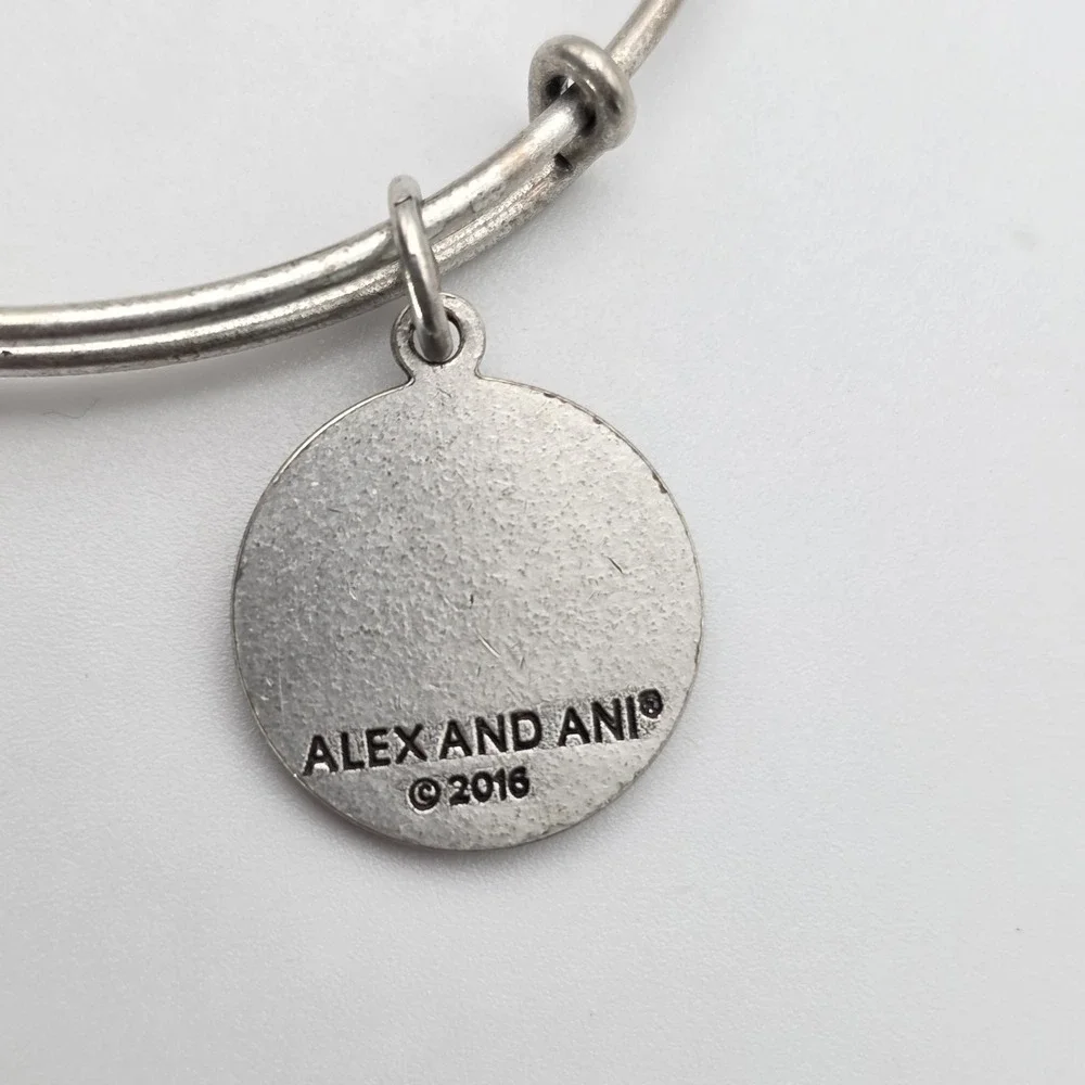 Alex and Ani item excellent