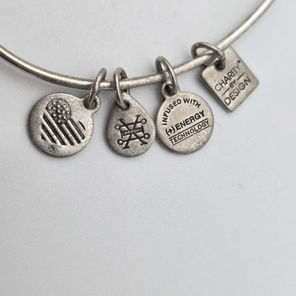 Alex and Ani item excellent