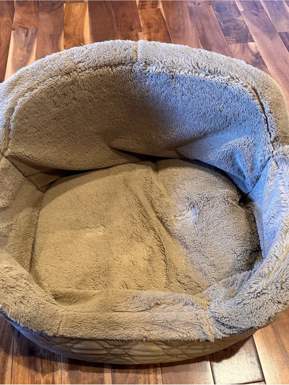 N/A three cozy