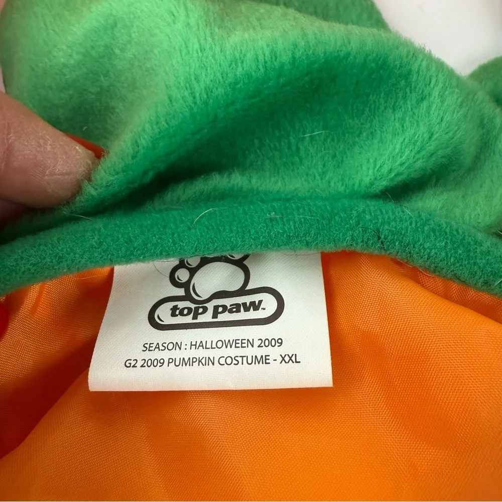 Top Paw dog pumpkin