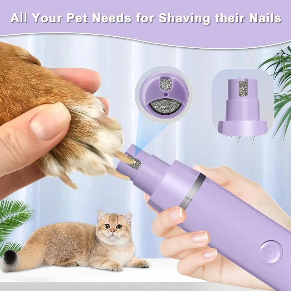 N/A pet grooming
