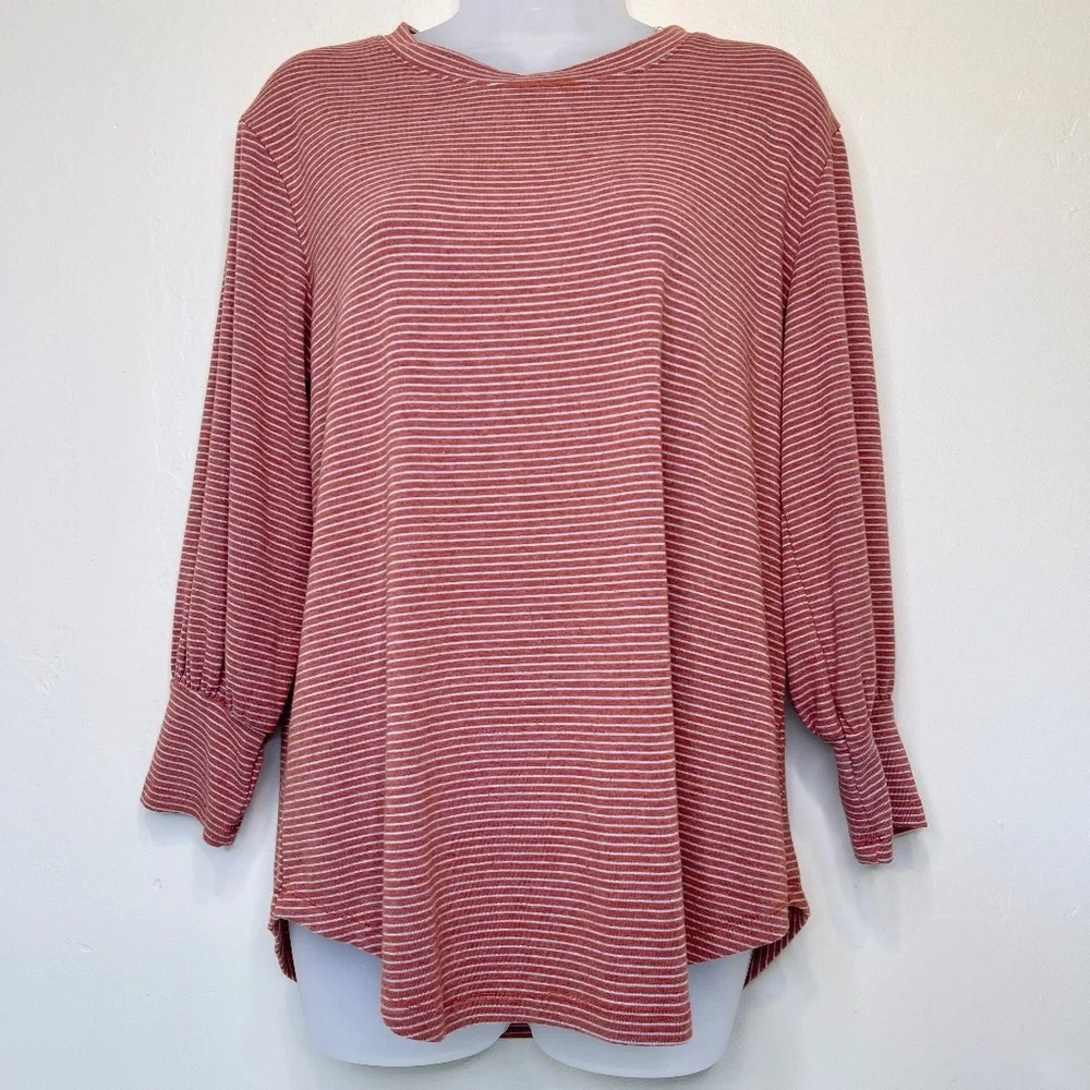 Mododoc LA | Retro Inspo Rust Stripe Statement Sleeve Soft Boxy T-Shirt
