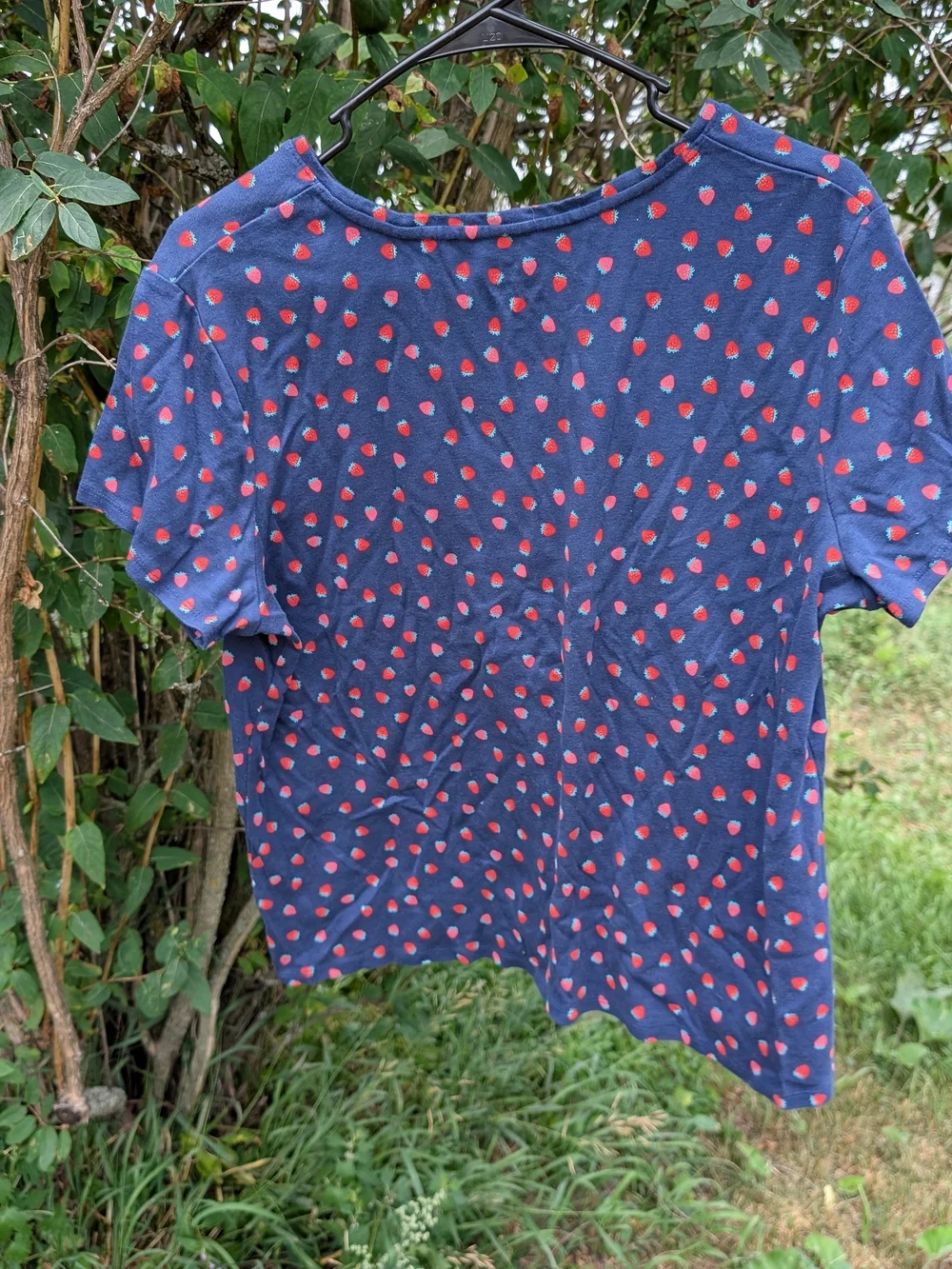 croft & barrow casual short