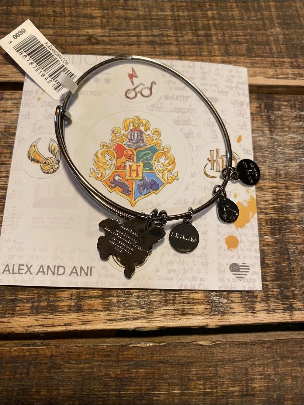 Alex and Ani Midnight Silver Harry Potter Hippogriff “Buckbeak” Charm Bangle