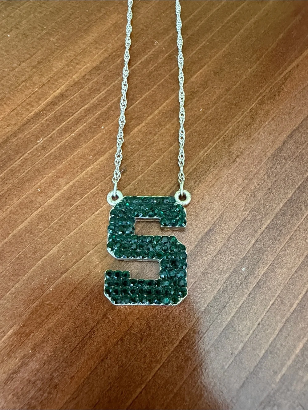 Michigan State University Necklace and Earrings