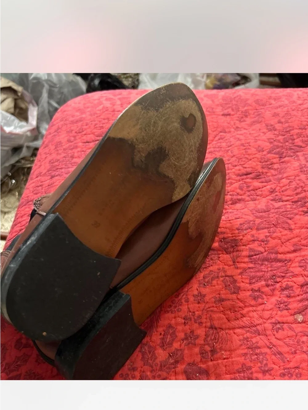 Zara classic brown