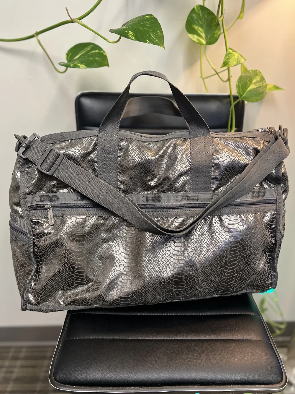 Lesportsac complements daily