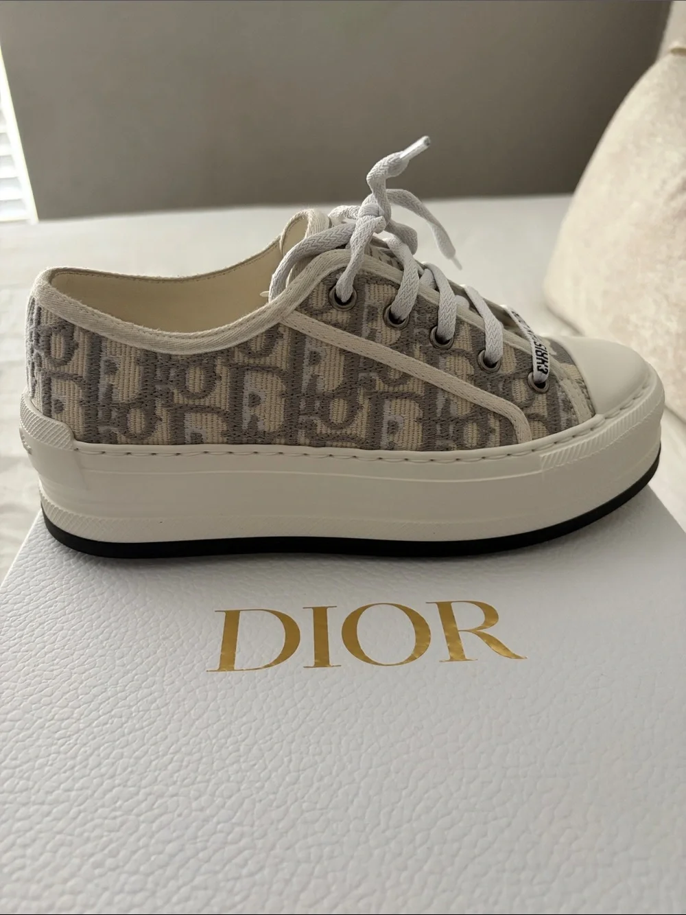 Dior signature oblique