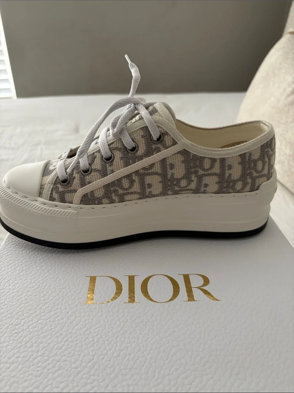 Dior signature oblique