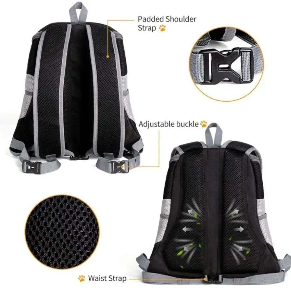 Boutique 10 13lb