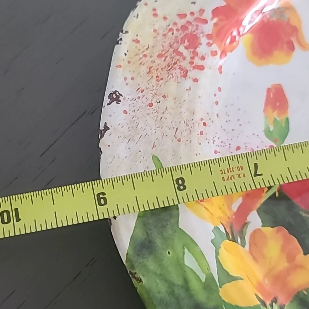 Pier One Rustic Melamine Dinner And Salad Plate Set. 8 Plates