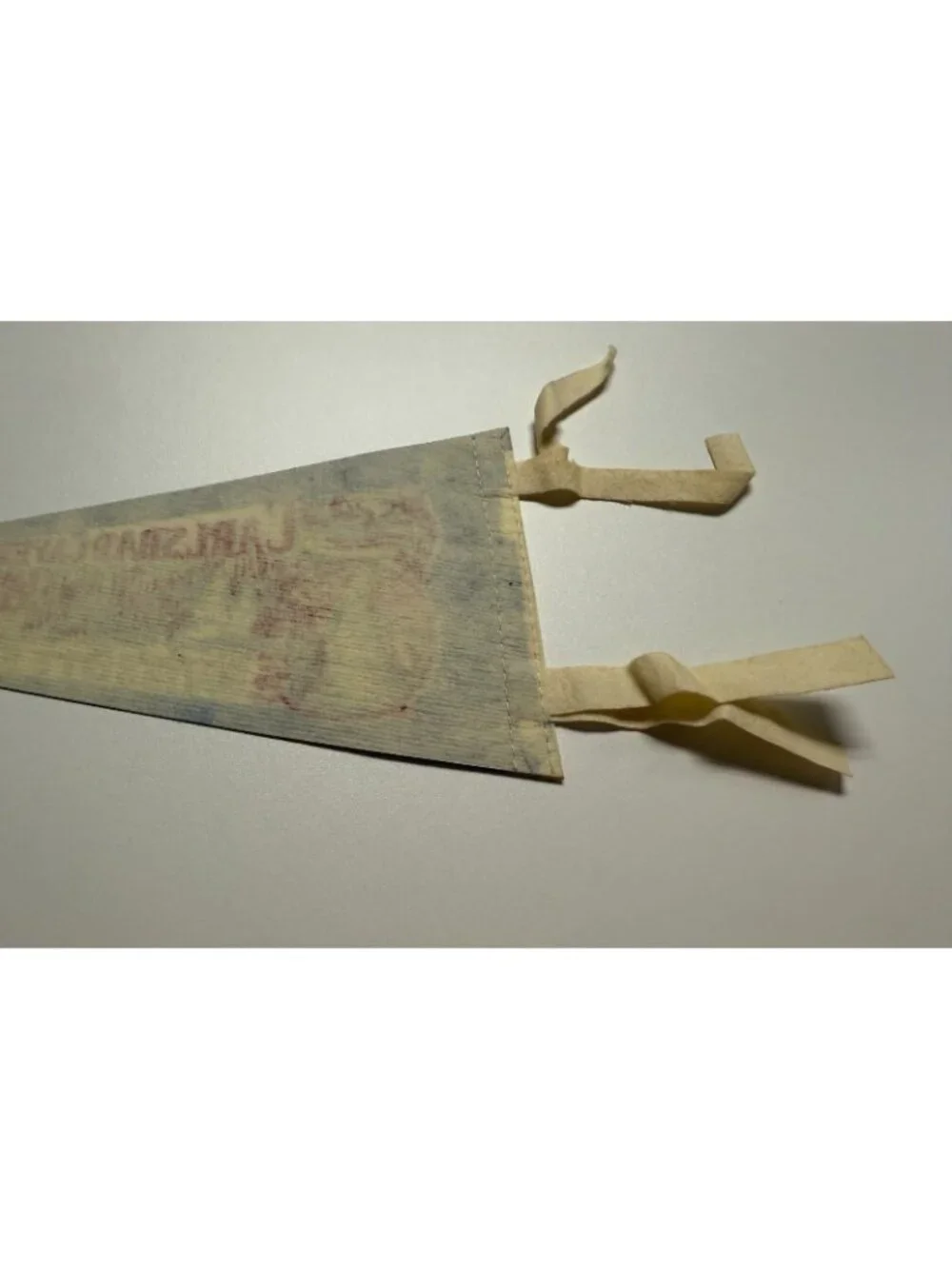 Vintage Carlsbad Caverns White's City, New Mexico pennant