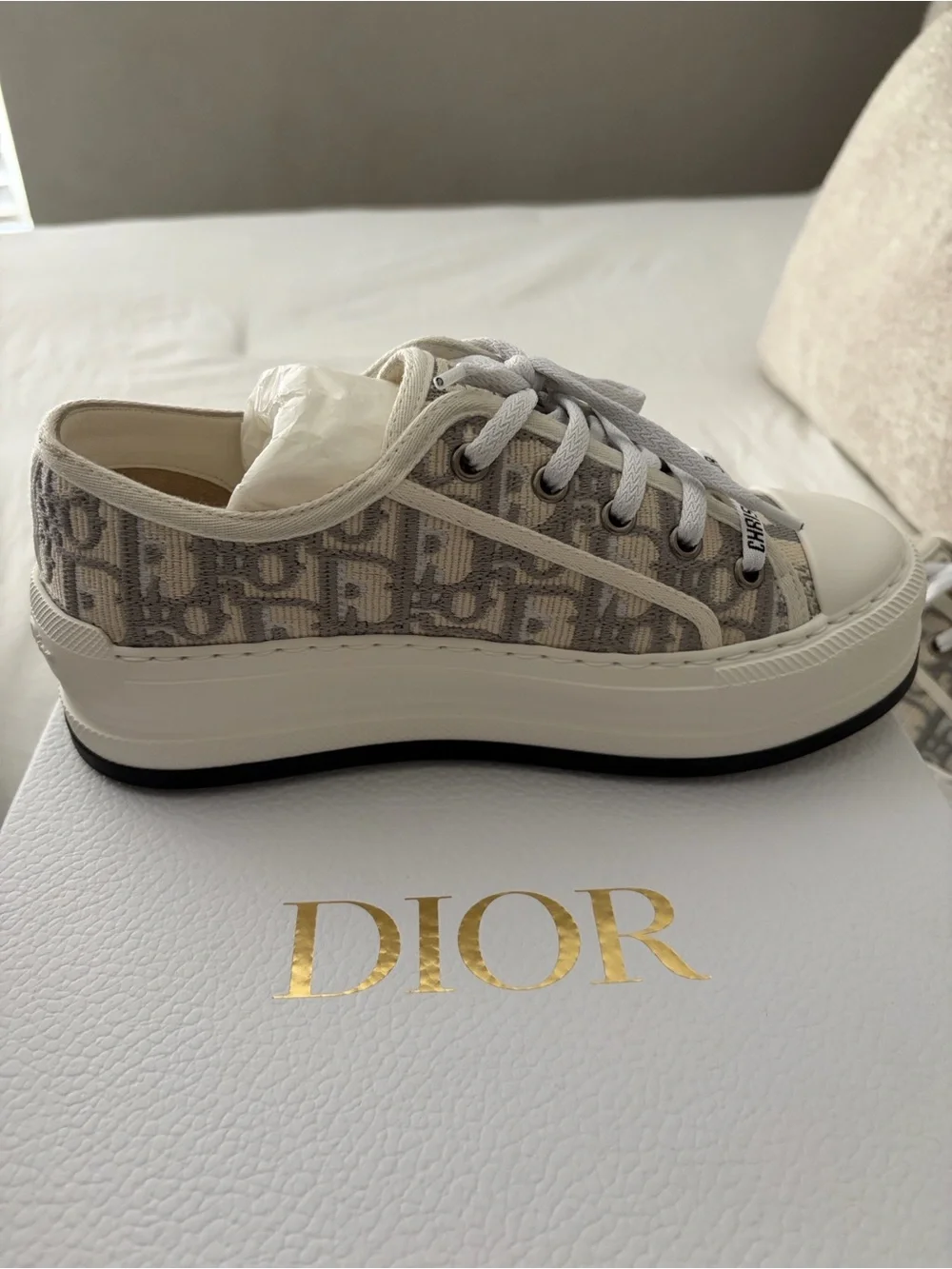 Dior christian stone
