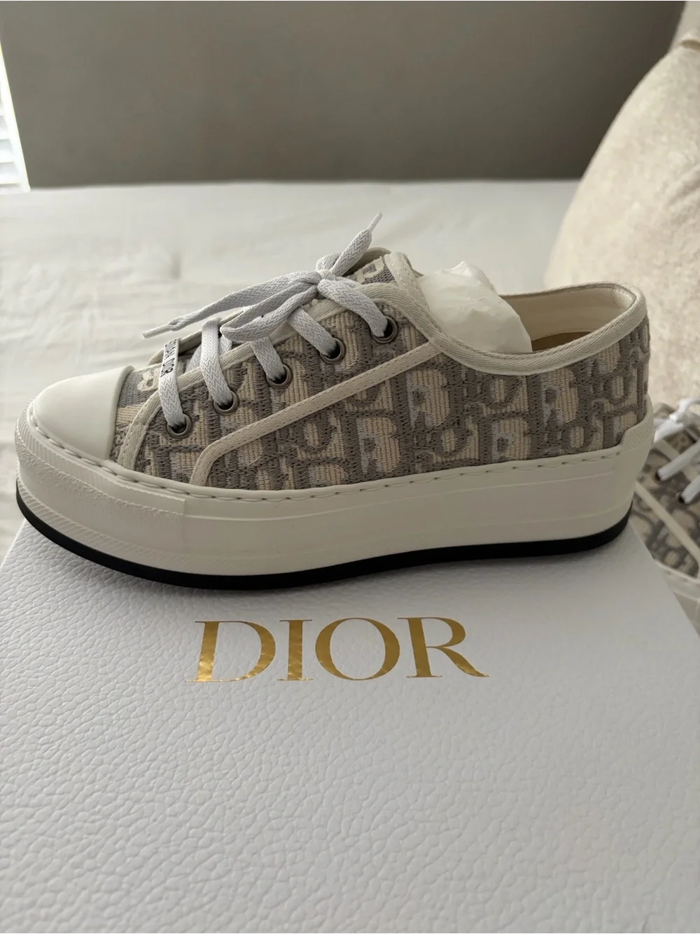 Dior christian stone