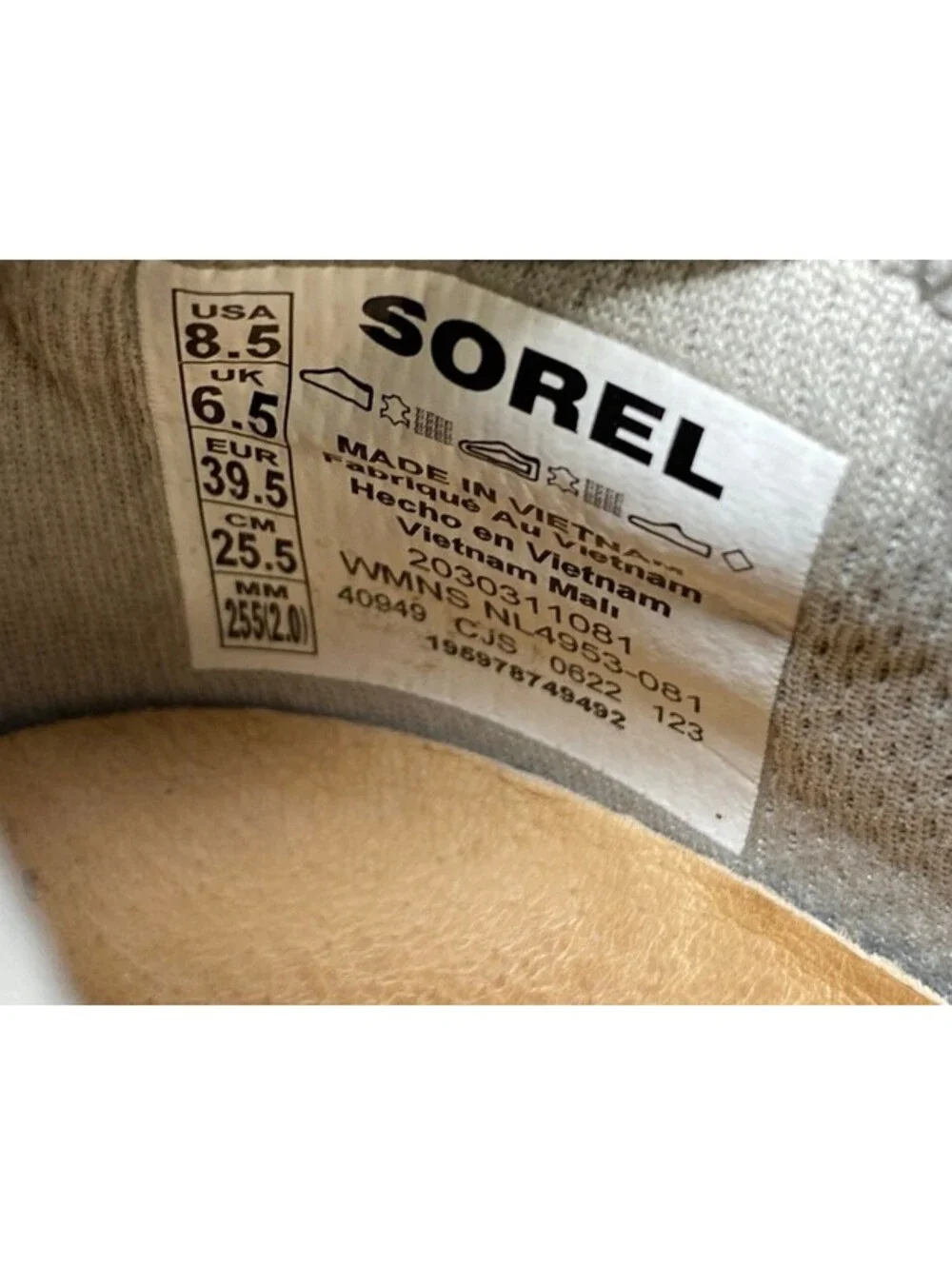 Sorel these kinetic