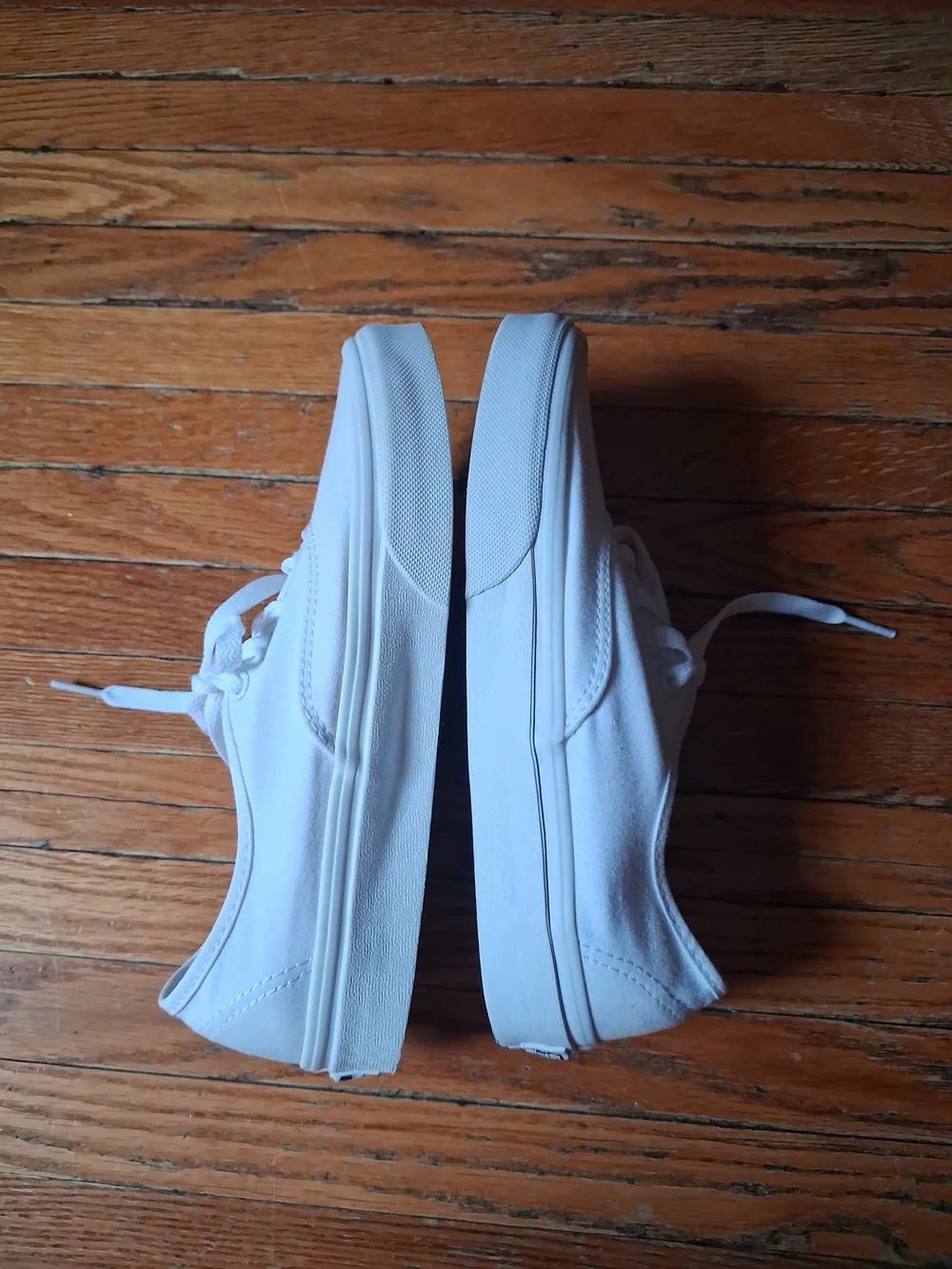 Vans Authentic Low Top Canvas Sneakers in White