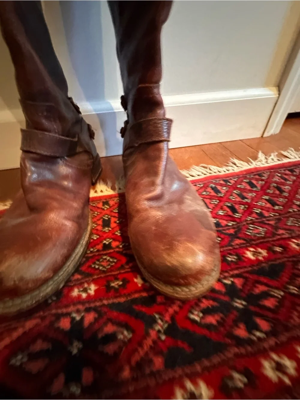 Frye classic knee