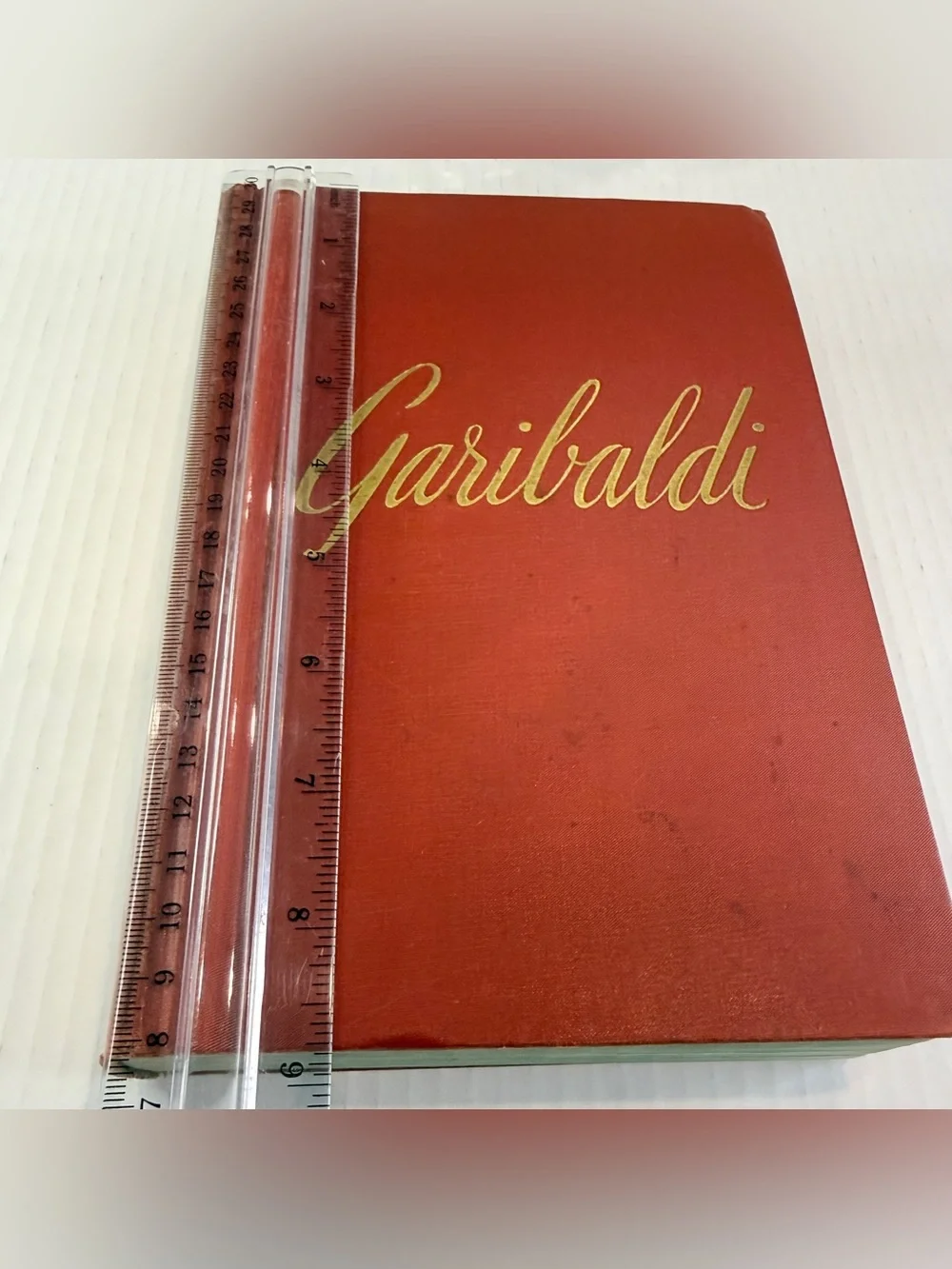 Vintage garibaldi man