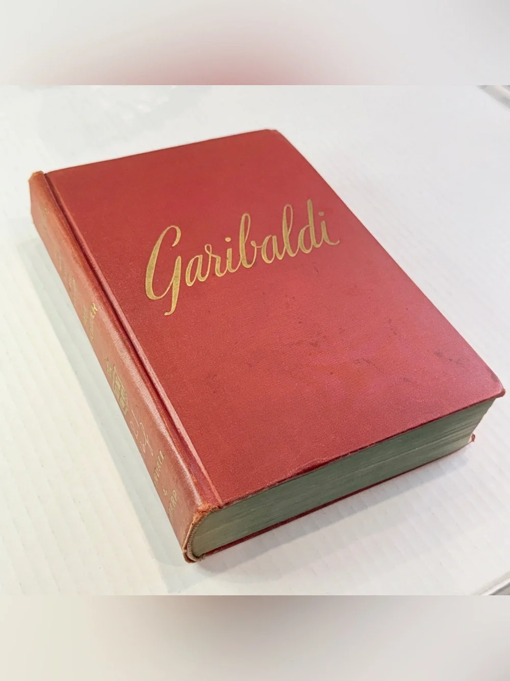 Vintage garibaldi man