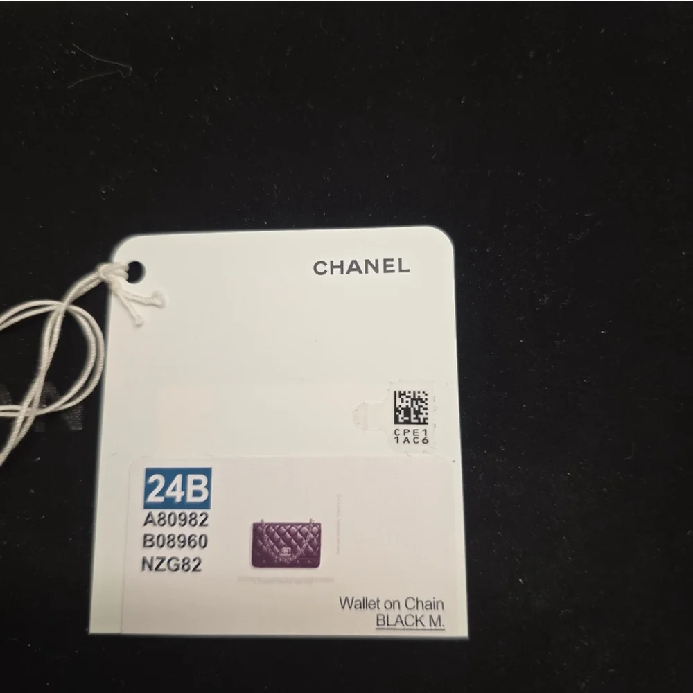 New Chanel Trendy WOC