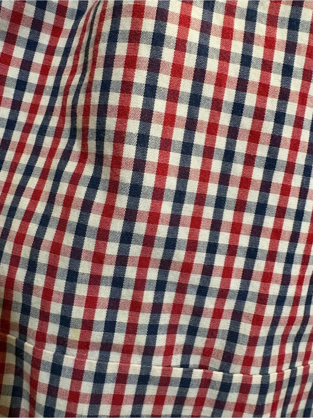 J. Crew Men's Red & Blue Gingham Button-Down Shirt