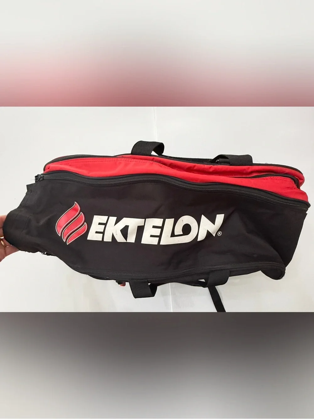 Ektelon hybrid team