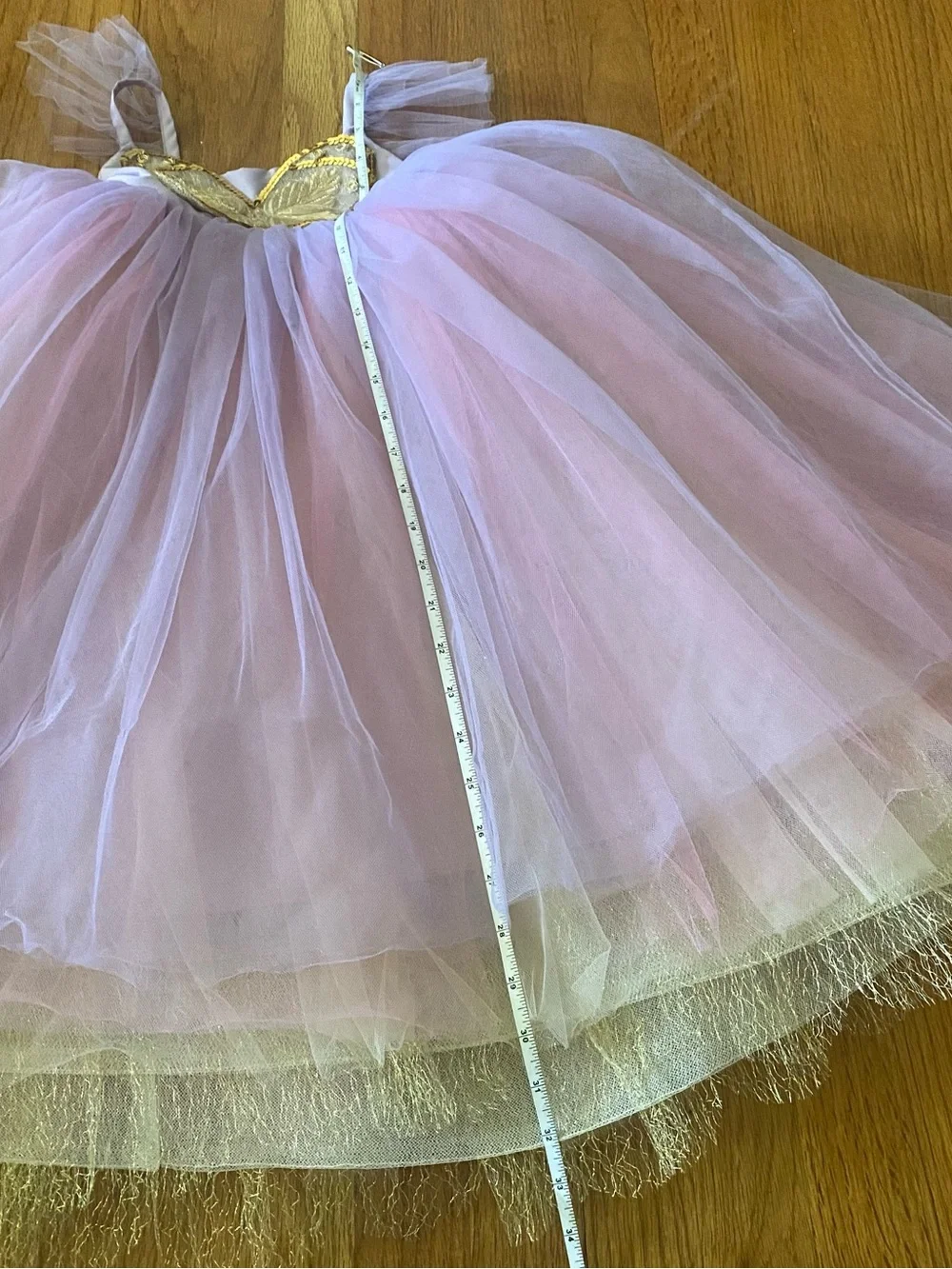 Pottery Barn Kids Pink and Gold Tulle Butterfly Costume