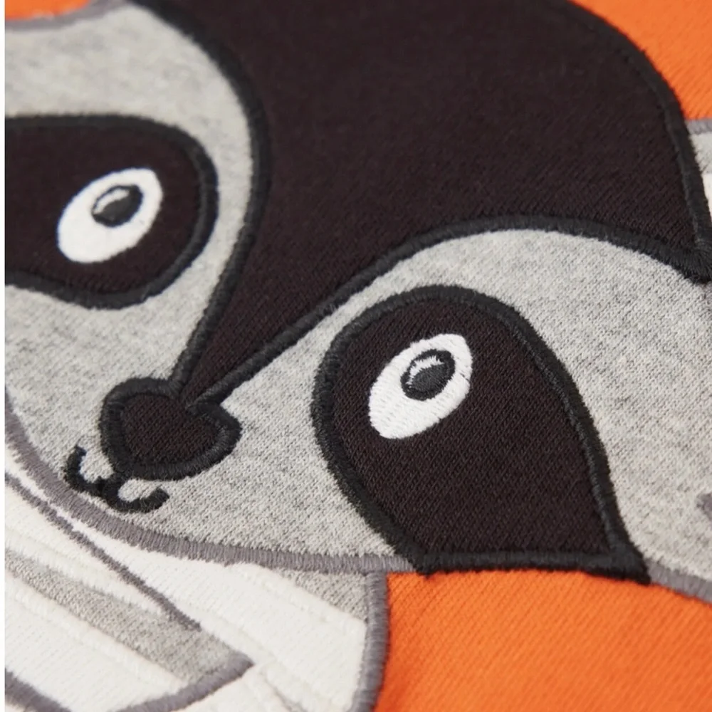 📌Gymboree • Embroidered • Raccoon Mummy •Shirt
