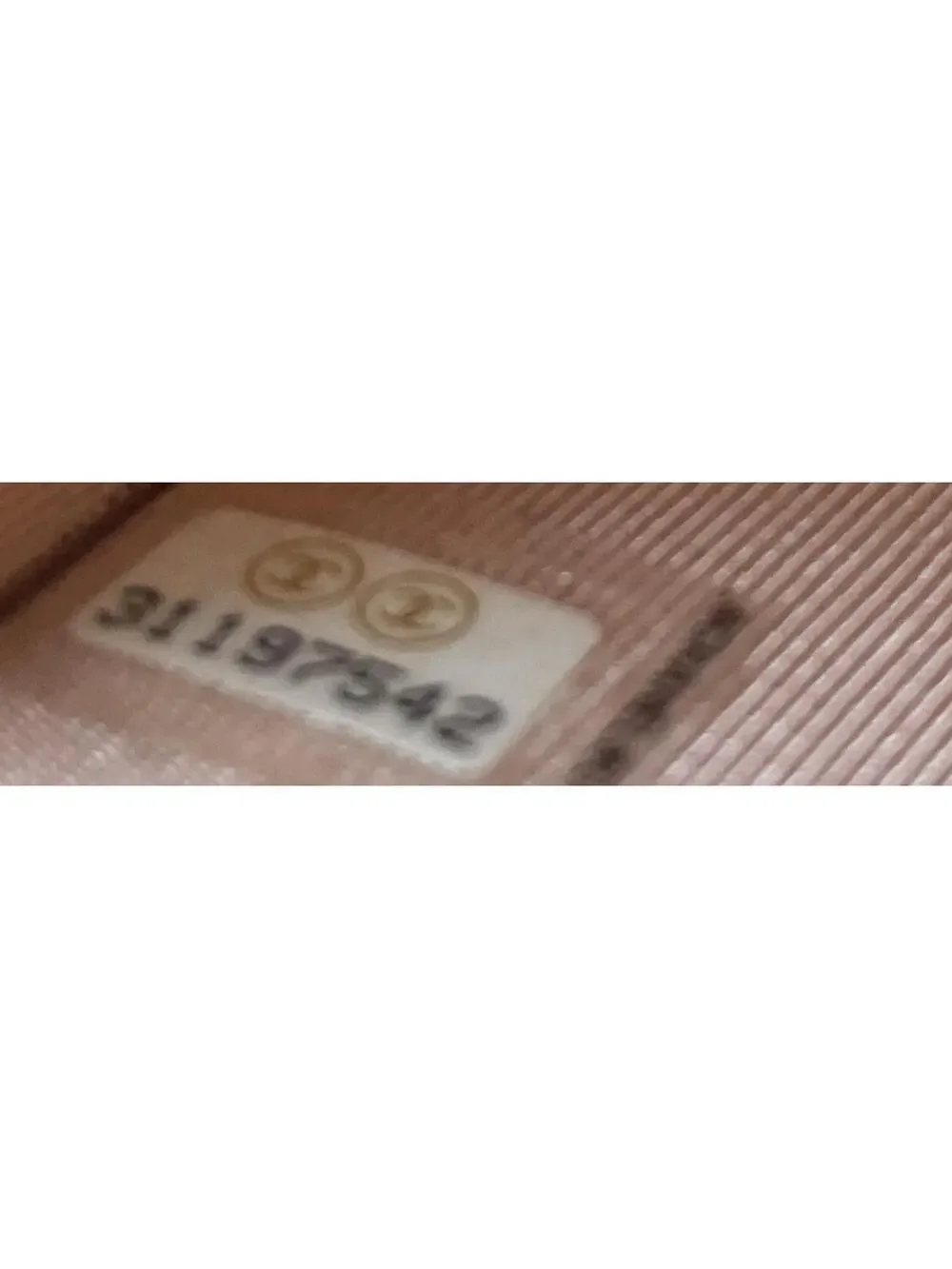 CHANEL elevate your