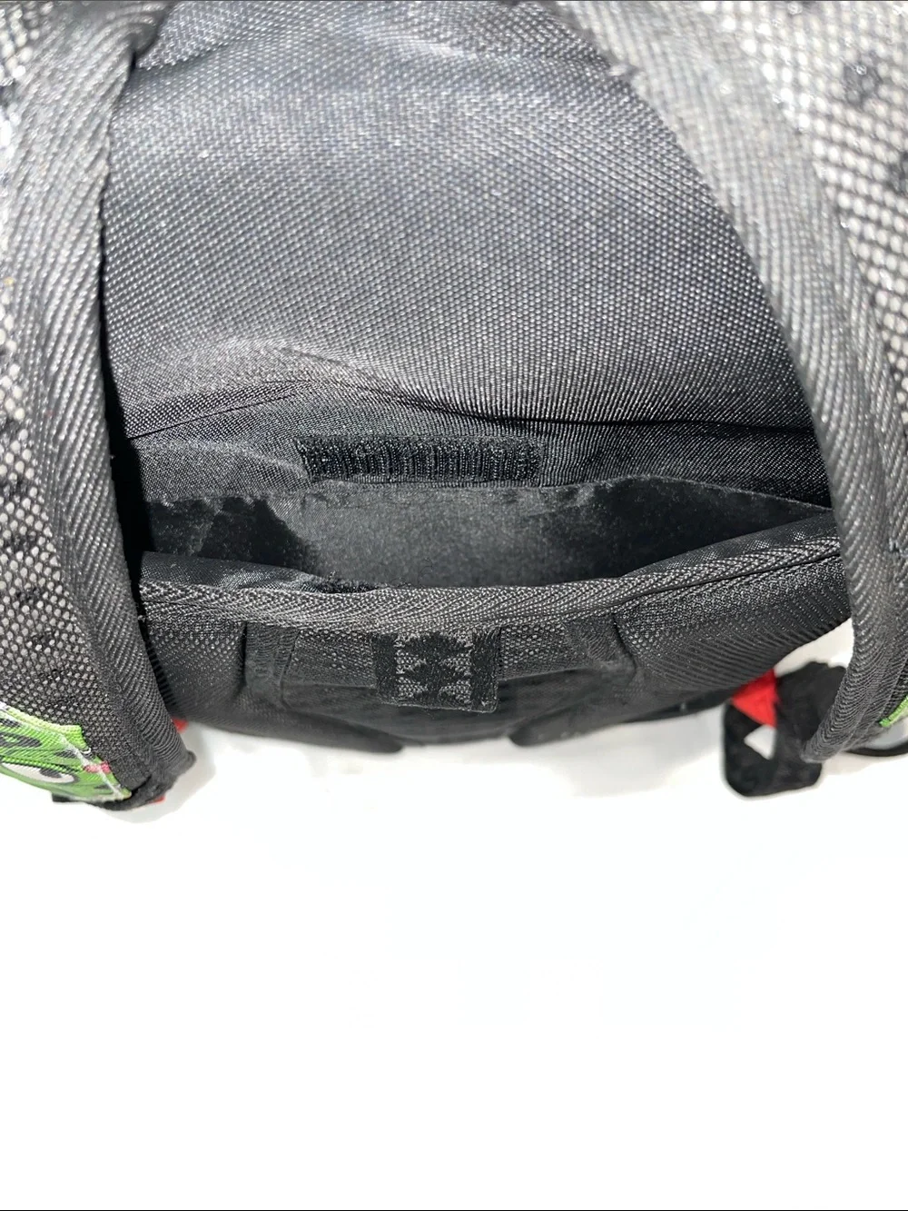 Sprayground bear money