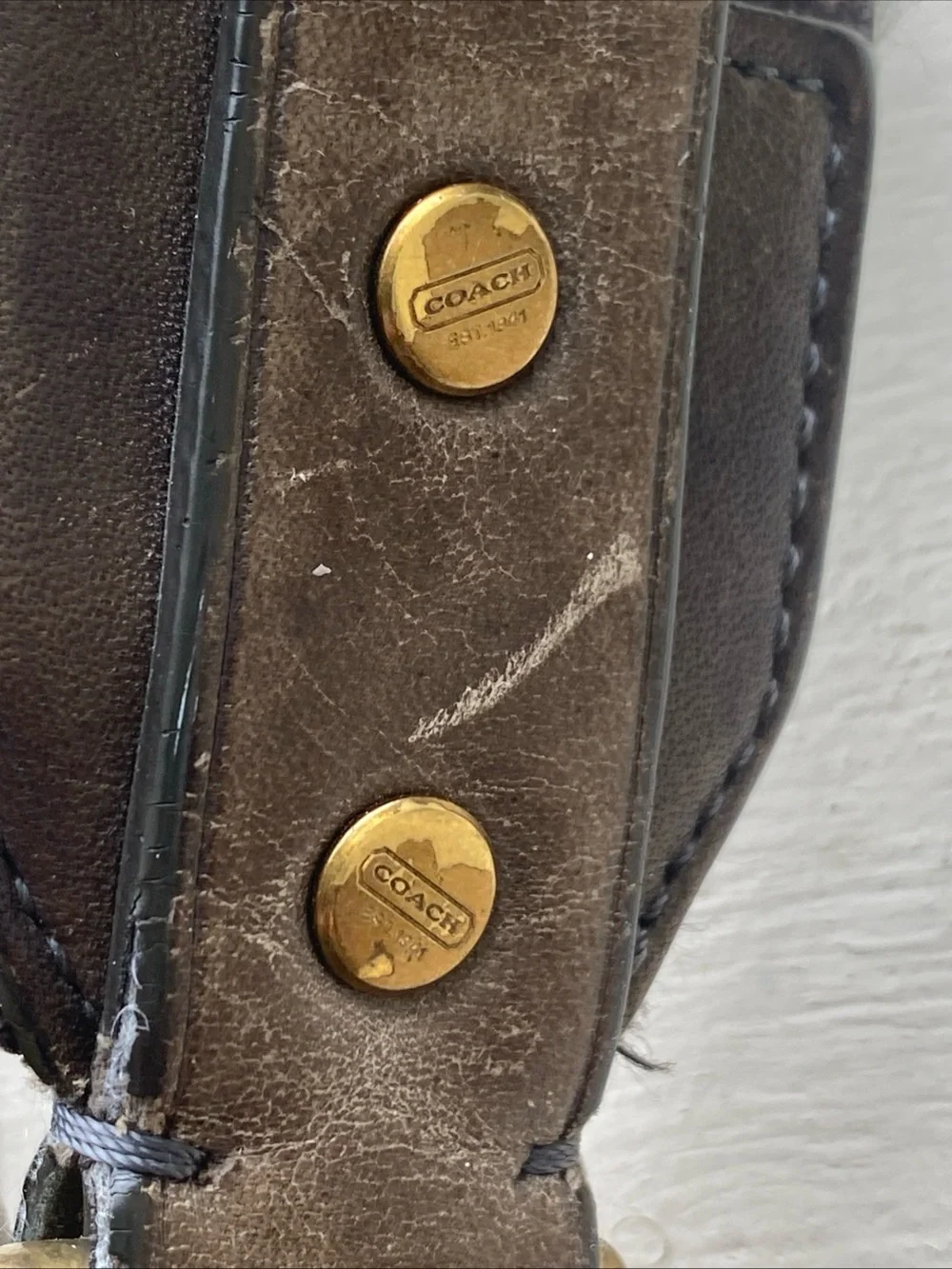 Coach pinstripe canvas