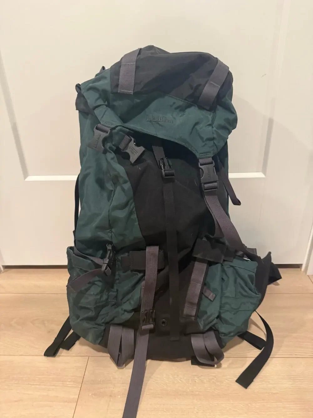 L.L. Bean Hiking Backpack Adult Size Green JM